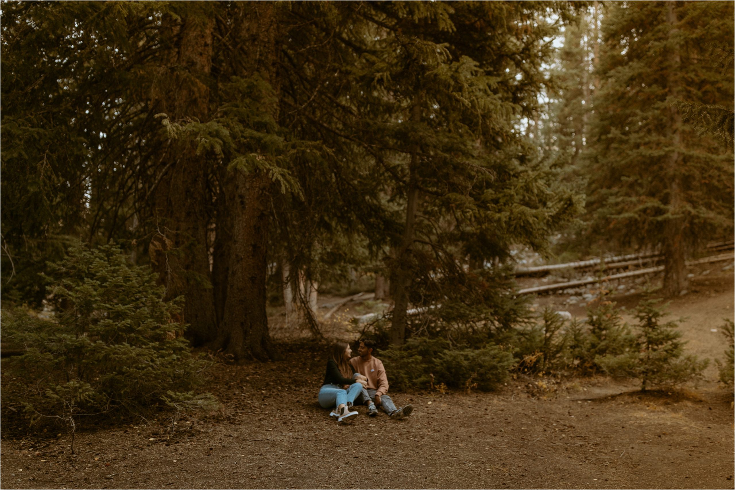 couple sitting under pine tree