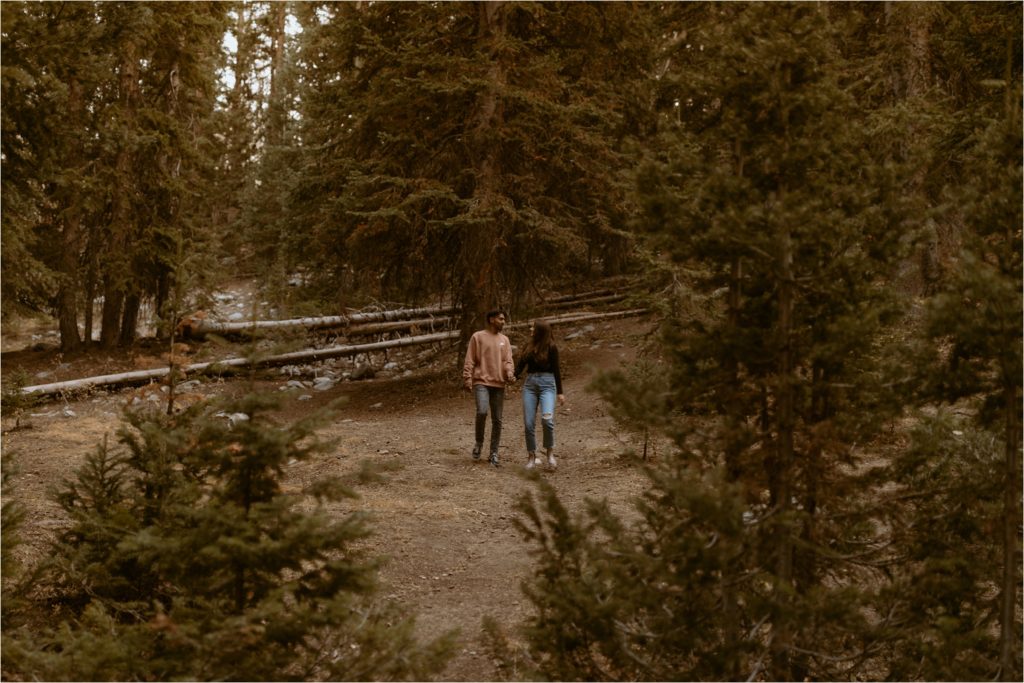 couple walking in pine forest