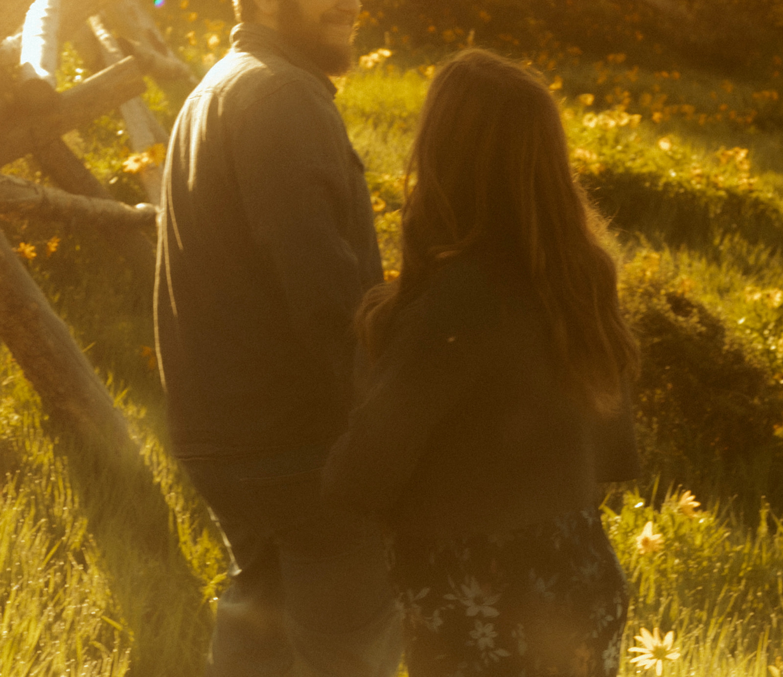 Couple holding hands with sunlight and wildflowers around them